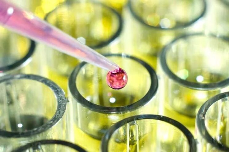 Test auf Parasiten